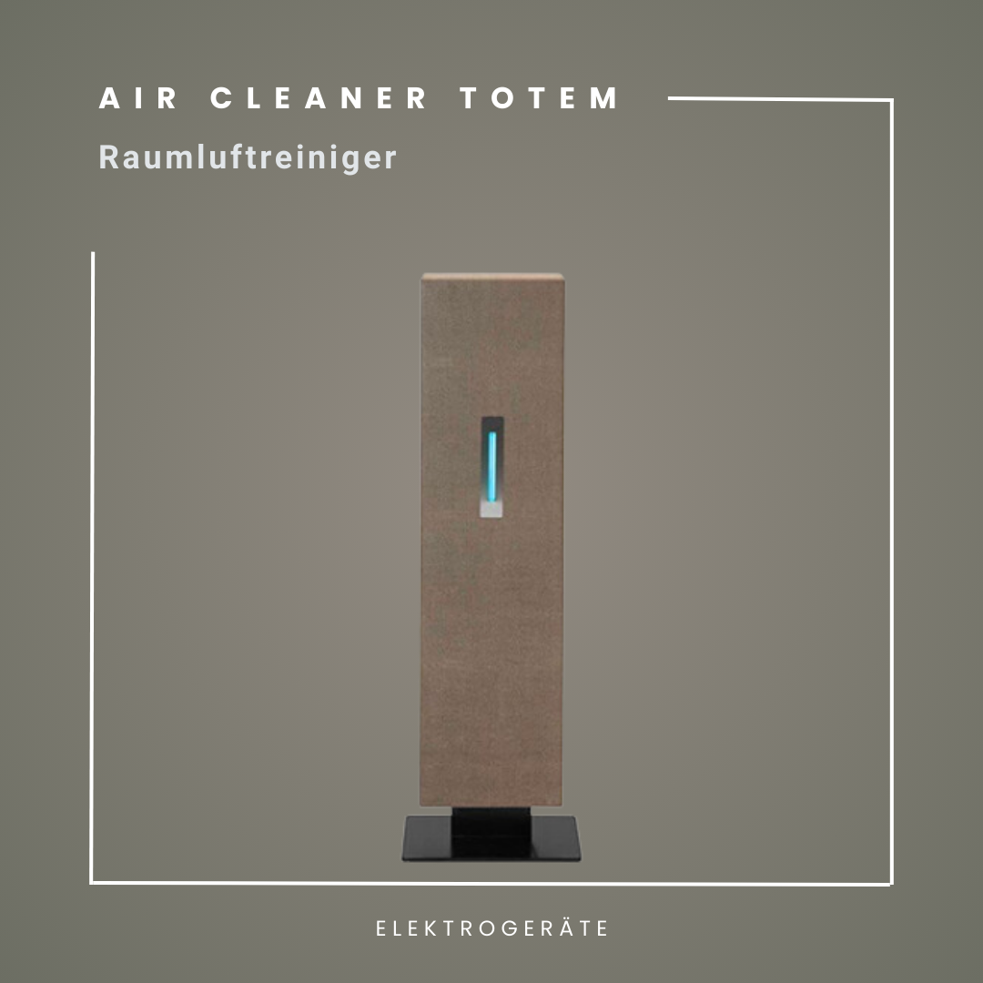 AIR CLEANER | Totem